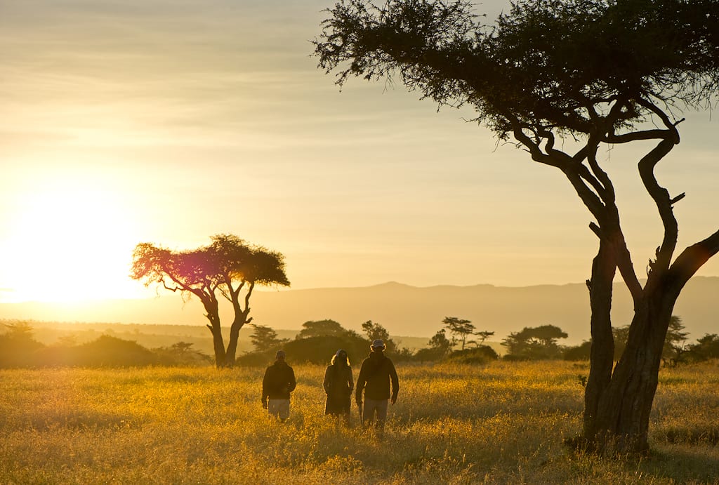 El Karama Lodge Guided Game Walk
